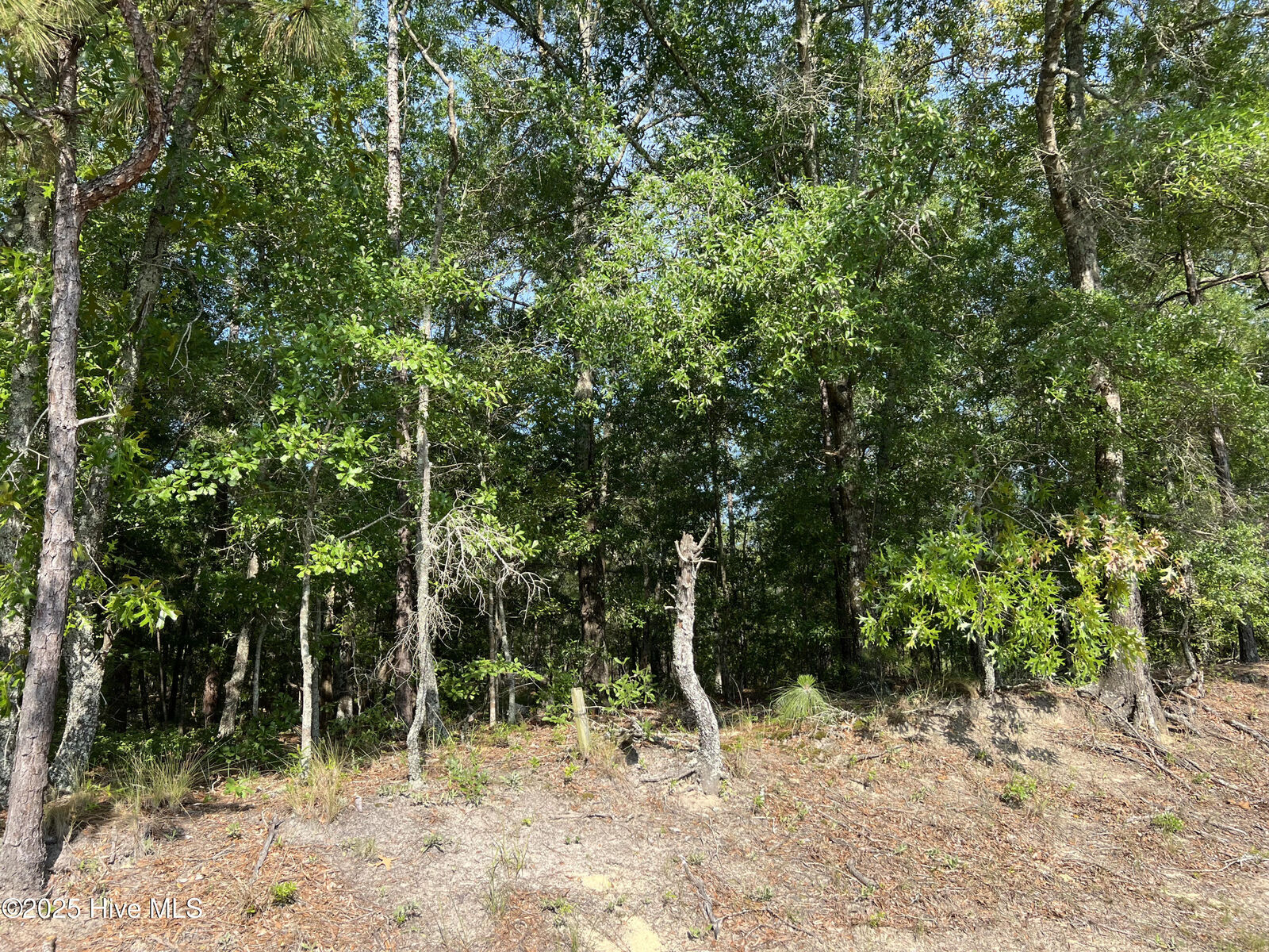 Property Photo:  0 6 Off Shaw Highway  NC 28457 