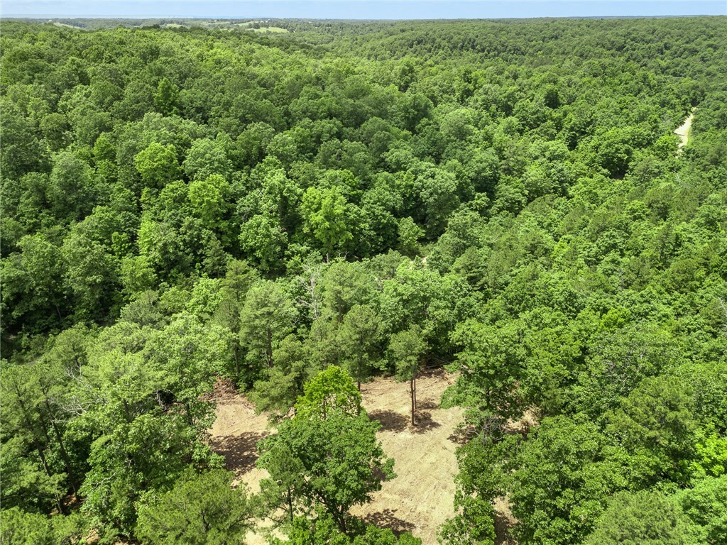 Property Photo: Tbd Morgan Cave Road AR 72601