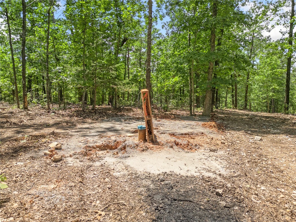 Property Photo: Tbd Morgan Cave Road AR 72601