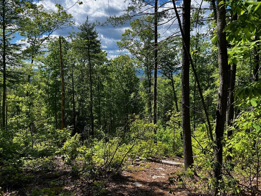 Property Photo: Lot 2 Hannabrooke Lane MA 01351