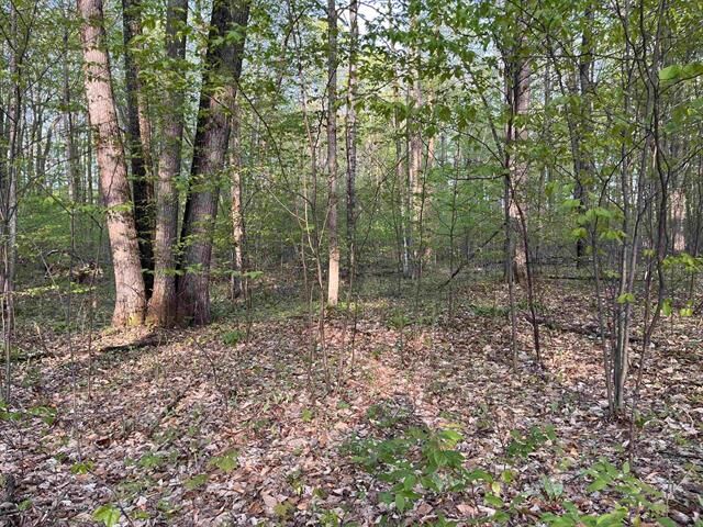 000 Par-King Drive  Custer Twp MI 49615 photo
