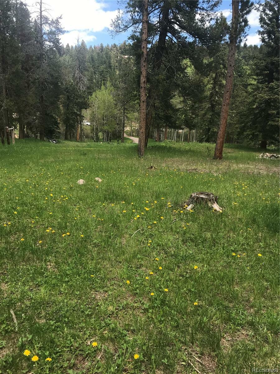 Property Photo: