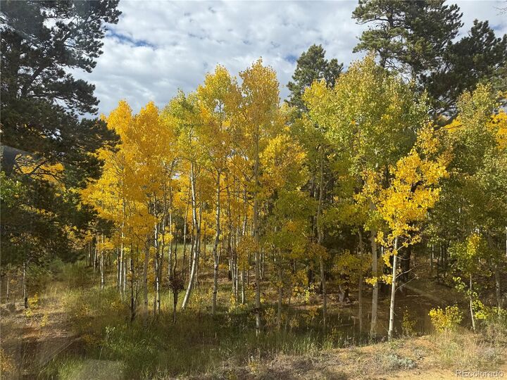 Property Photo:  300 Badger Road  CO 80422