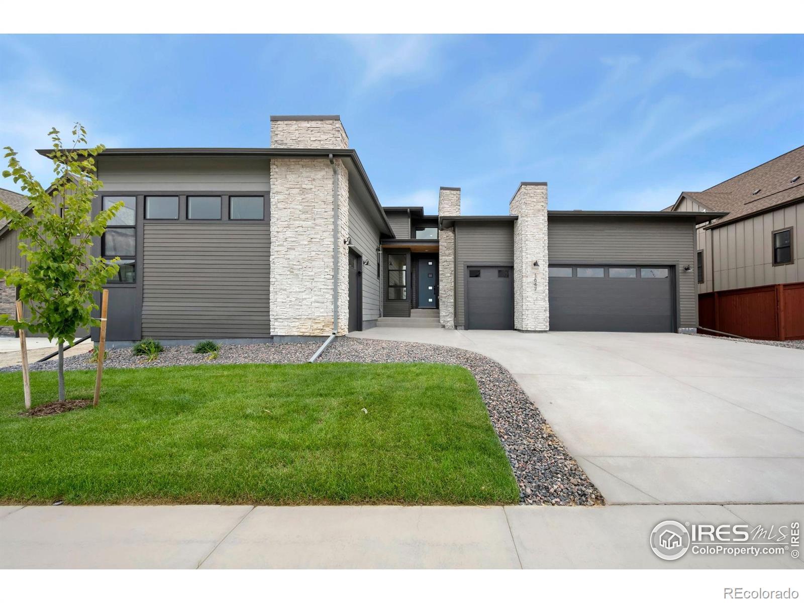 1647 Flourish Drive  Windsor CO 80550 photo