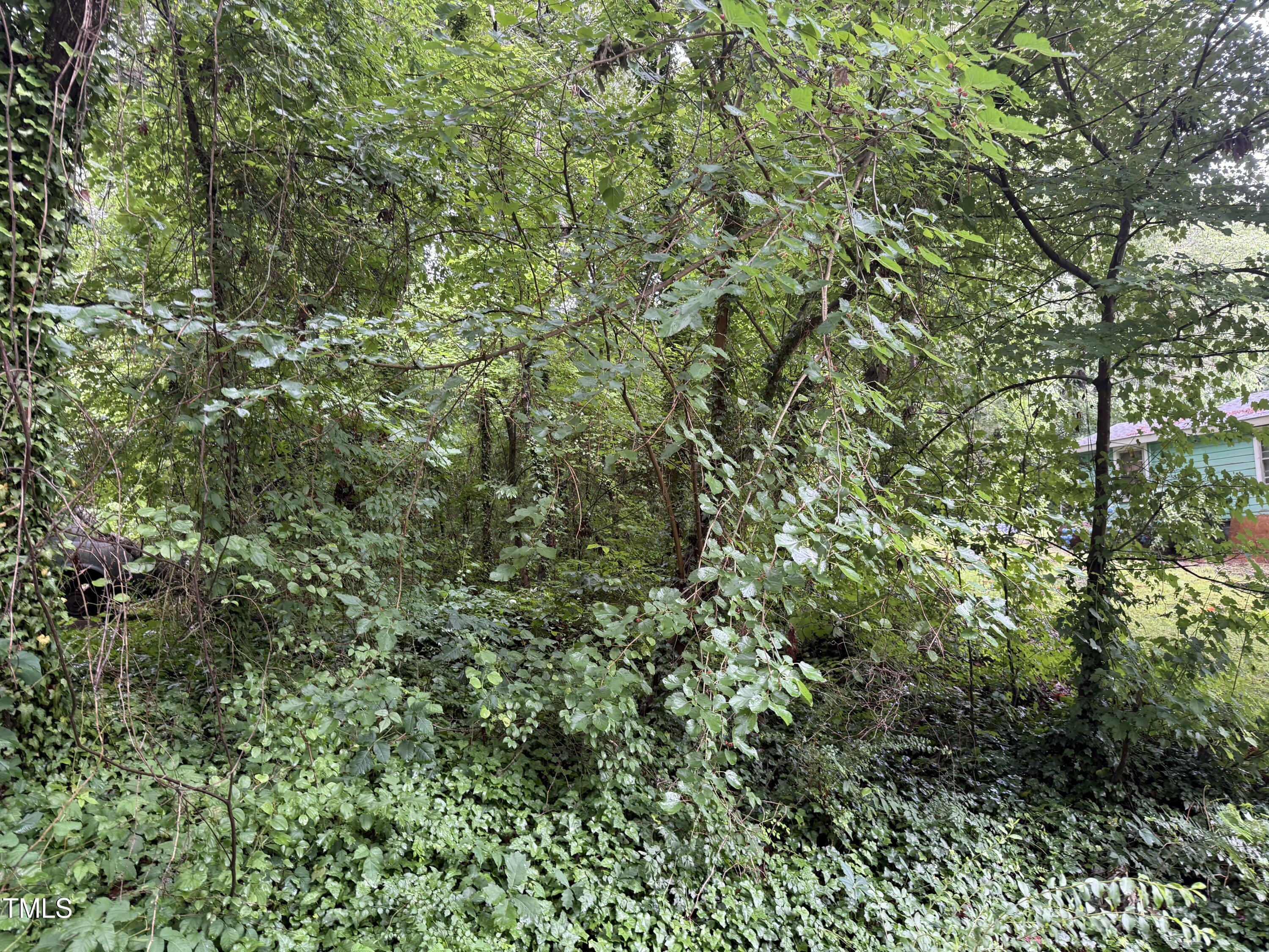 Property Photo:  00 Pheasant Lane  NC 27537 