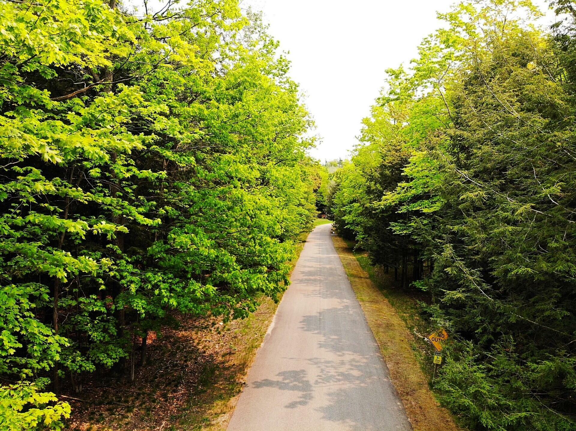 Property Photo:  5945 Lodgepole Road  MI 49740 
