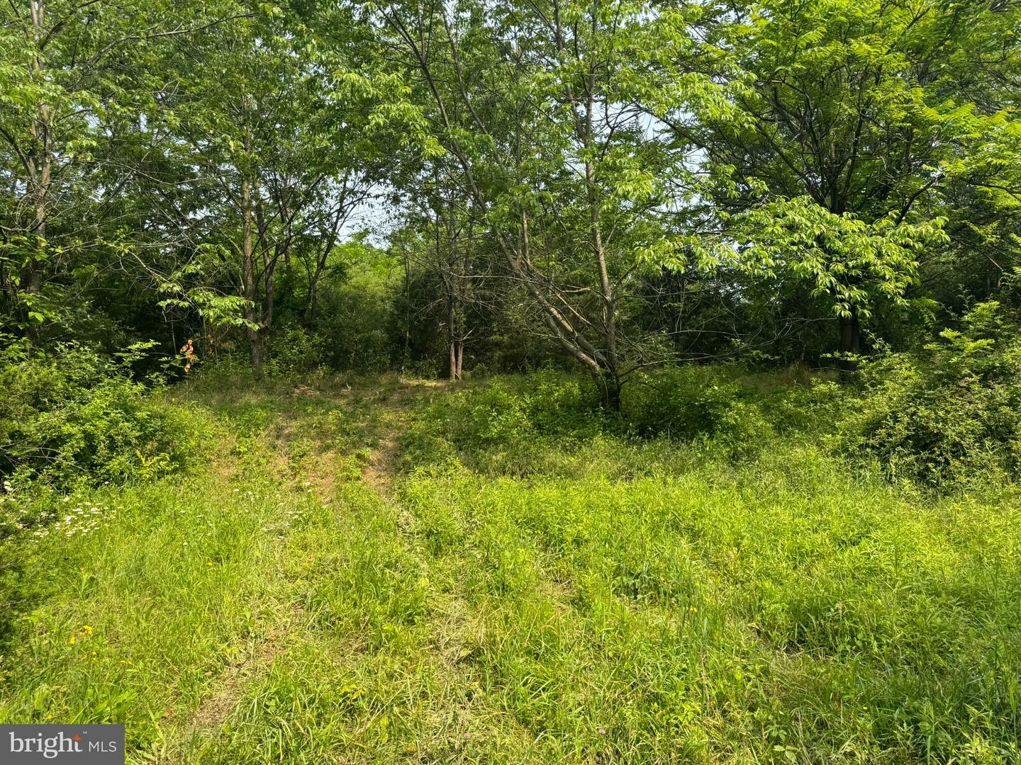 Property Photo: 5309 Bino Road PA 17225