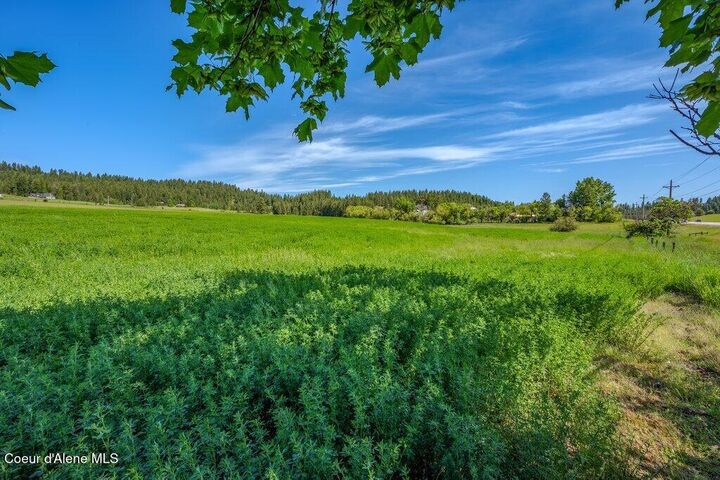 L1b1 W Limits Ln  Coeur D'Alene ID 83814 photo