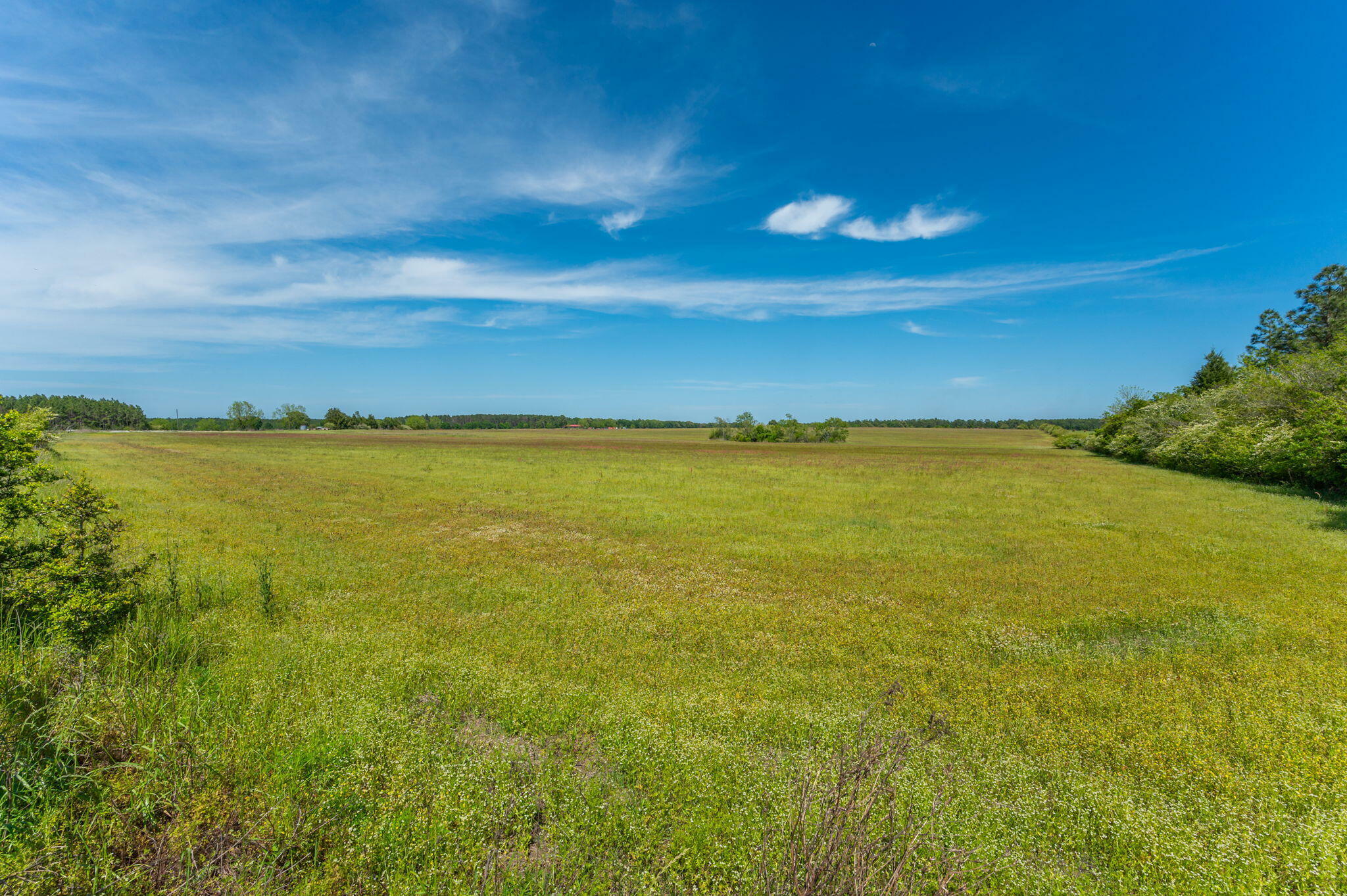 Property Photo: Parcel B Adams Drive FL 32433
