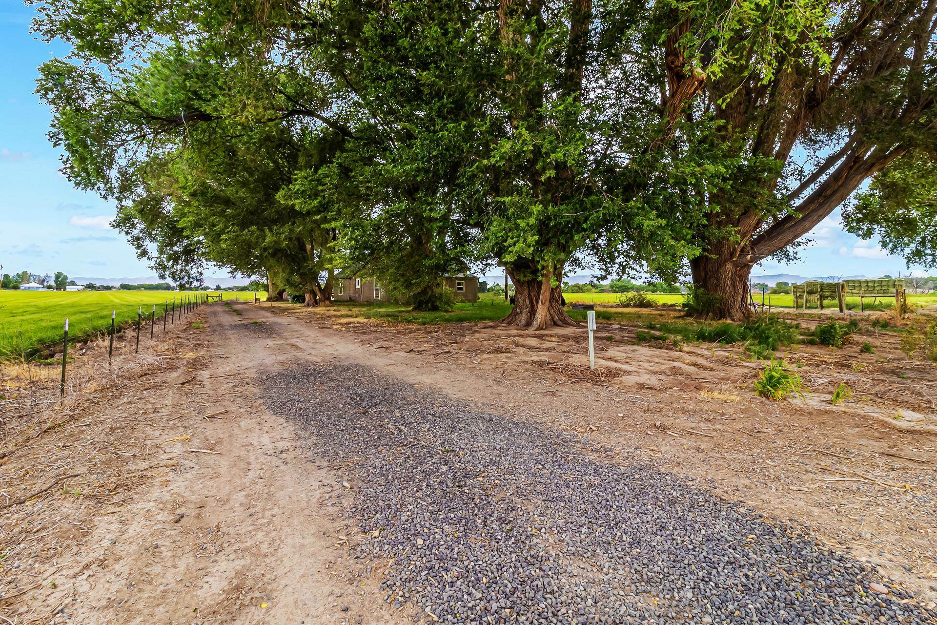 Property Photo:  1710 M Road  CO 81521 