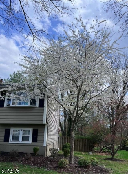 Property Photo: 10 Grandin Dr NJ 08822