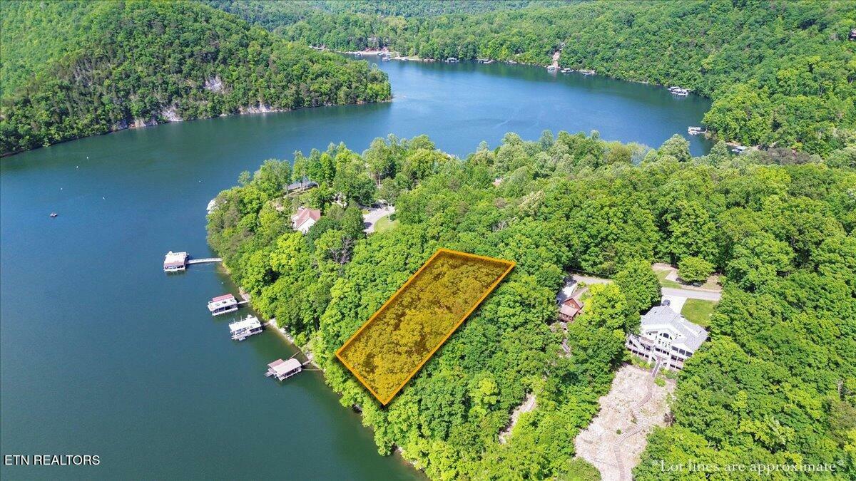 Property Photo: N Shorewood Ln, Lot 20 TN 37714