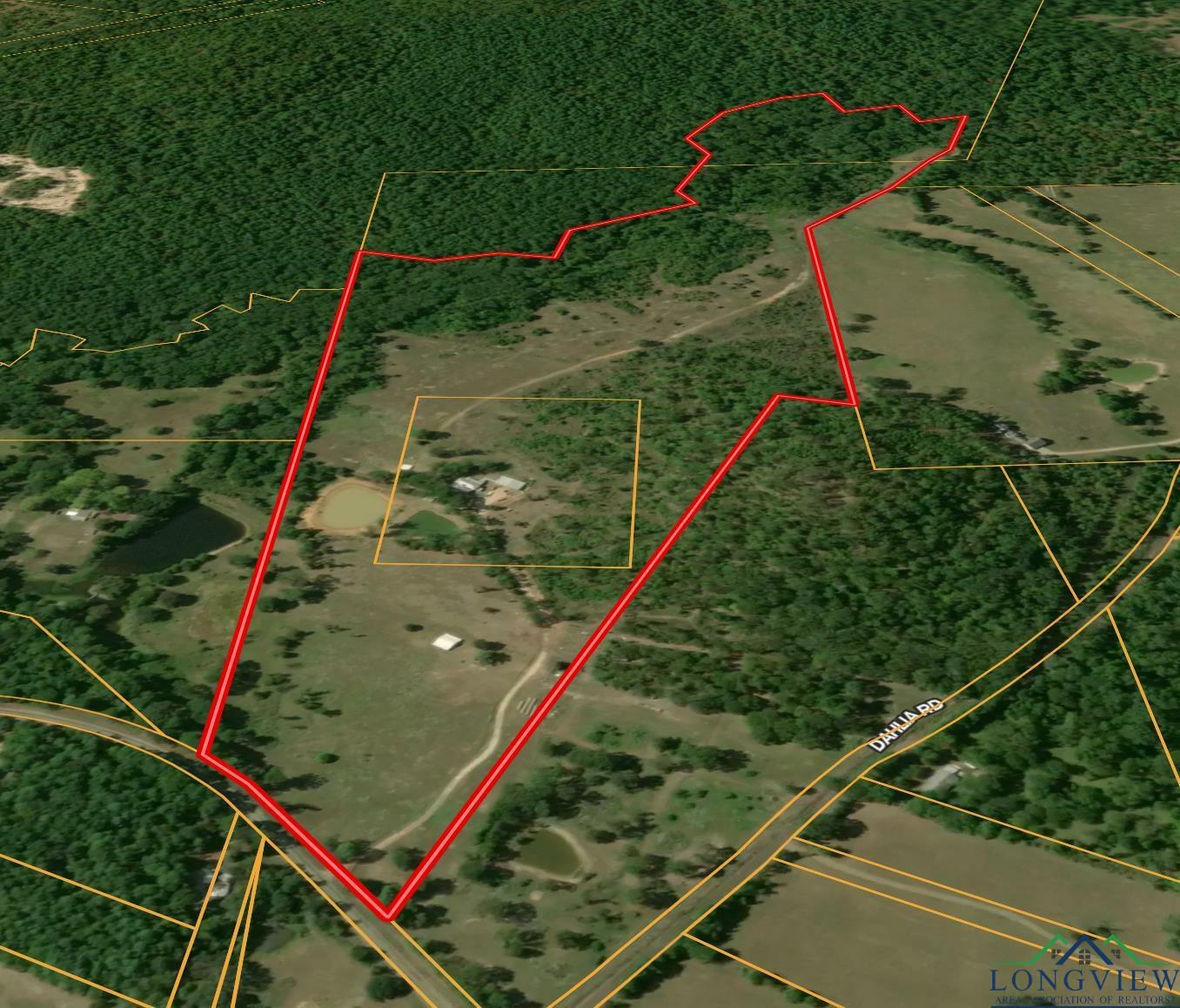 5897 Fm 2796  Gilmer TX 75644 photo