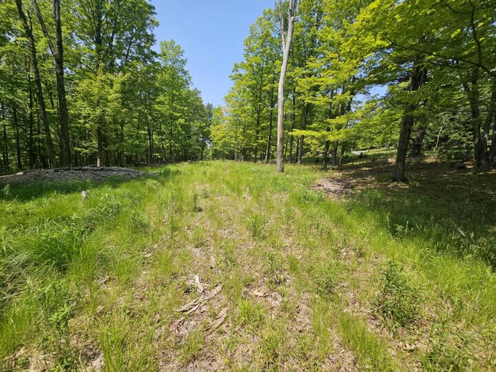 Property Photo:  Skyline Drive  NY 12765 