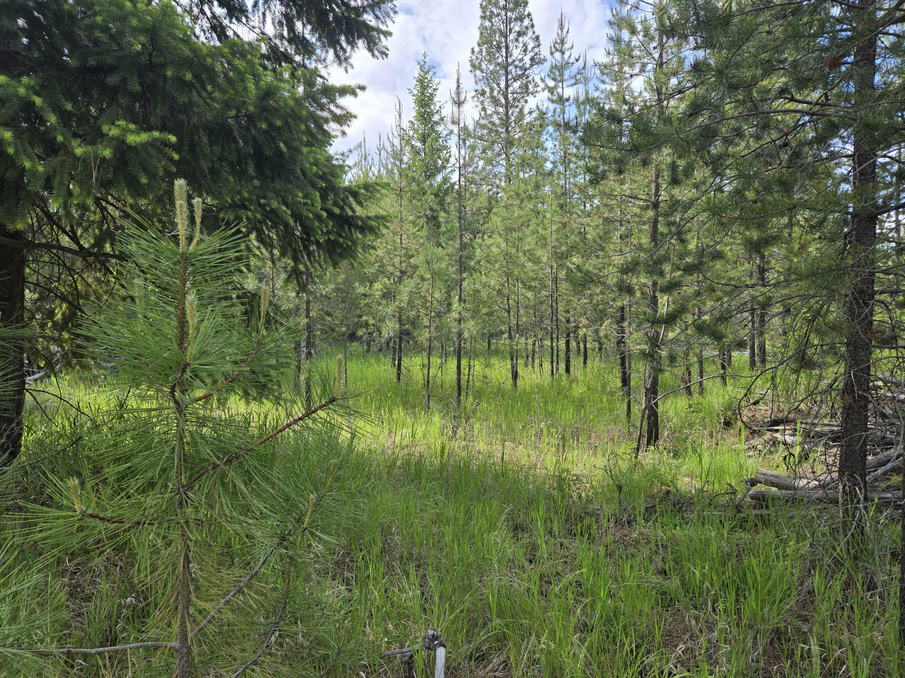 Property Photo: 26xx Sand Canyon Lot 3 Rd WA 99109
