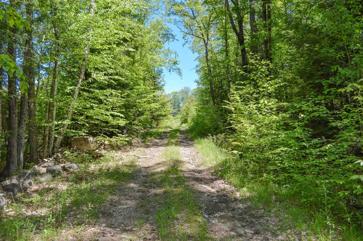 Property Photo: 00 Mulligan Row NH 03467