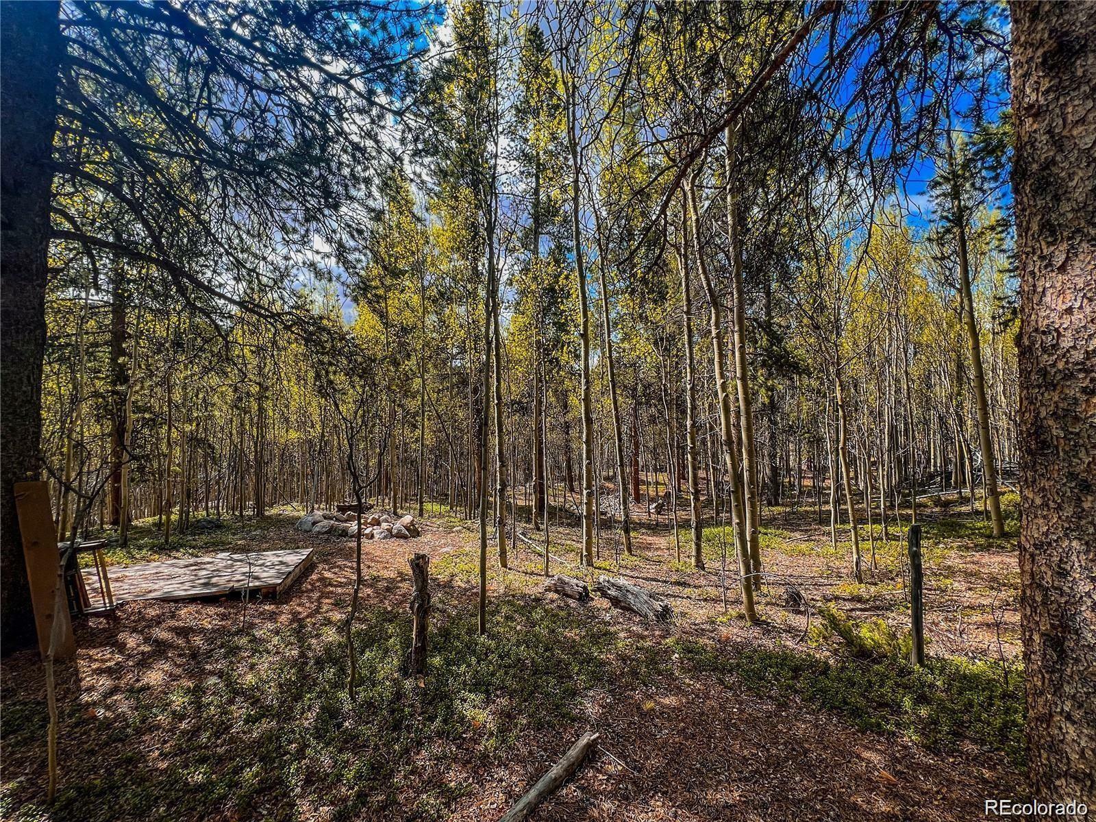 Property Photo: 2564 Empire Valley Drive CO 80461