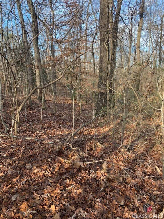 Property Photo: 00 S Tanglewood Drive GA 30662