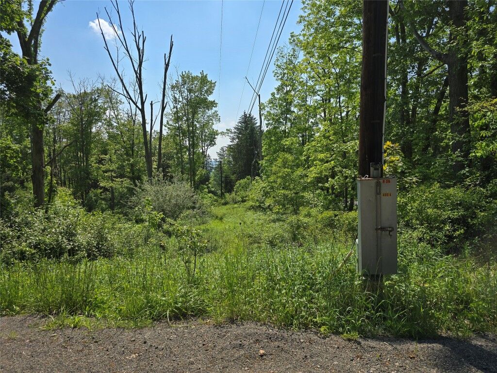 Property Photo: 0 Campville & Cafferty NY 13760