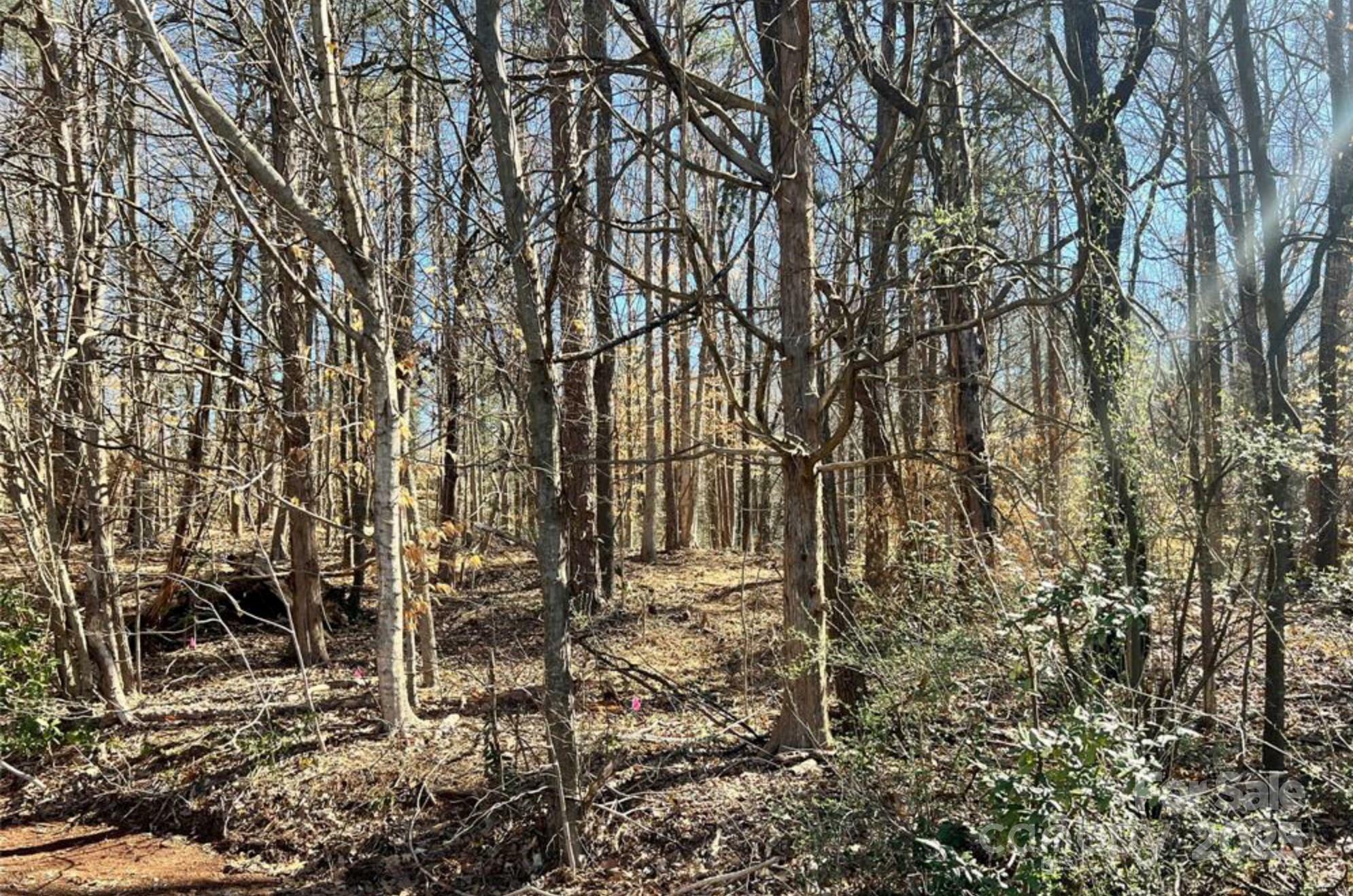 Property Photo: 01 Lurecliff Place SC 29708
