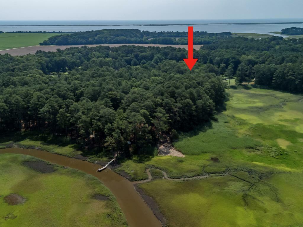Property Photo: Lot 24 Barnes Cir VA 23421