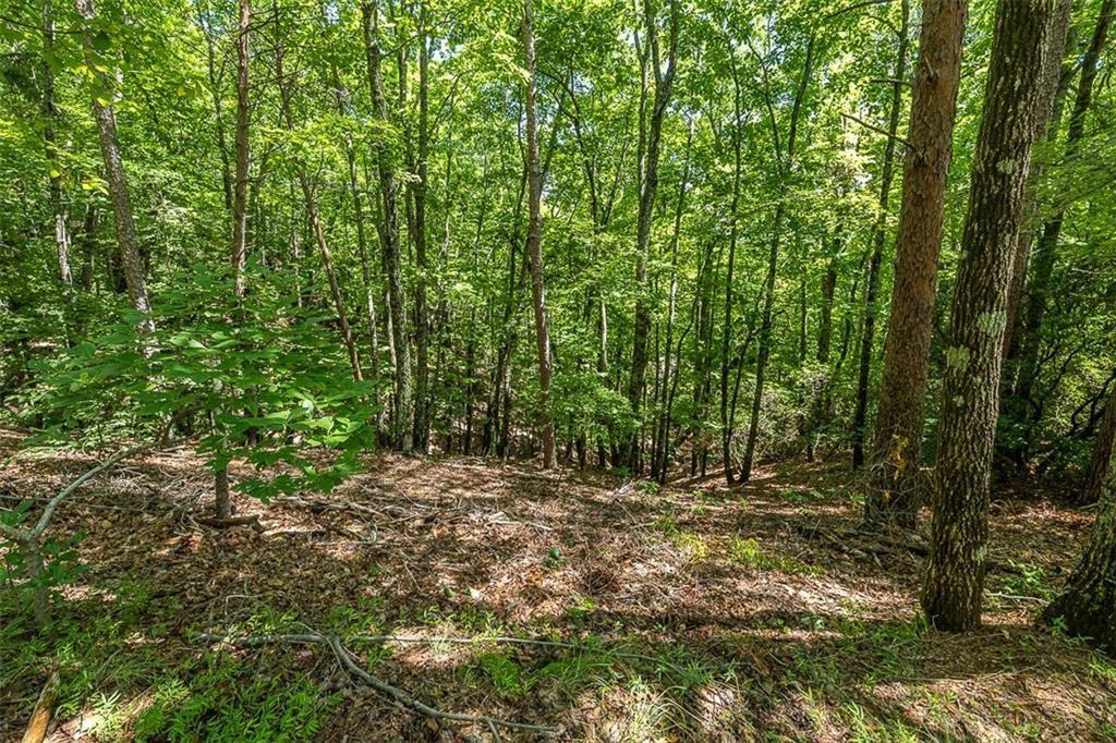 Property Photo: 64 Wrens Nest GA 30143