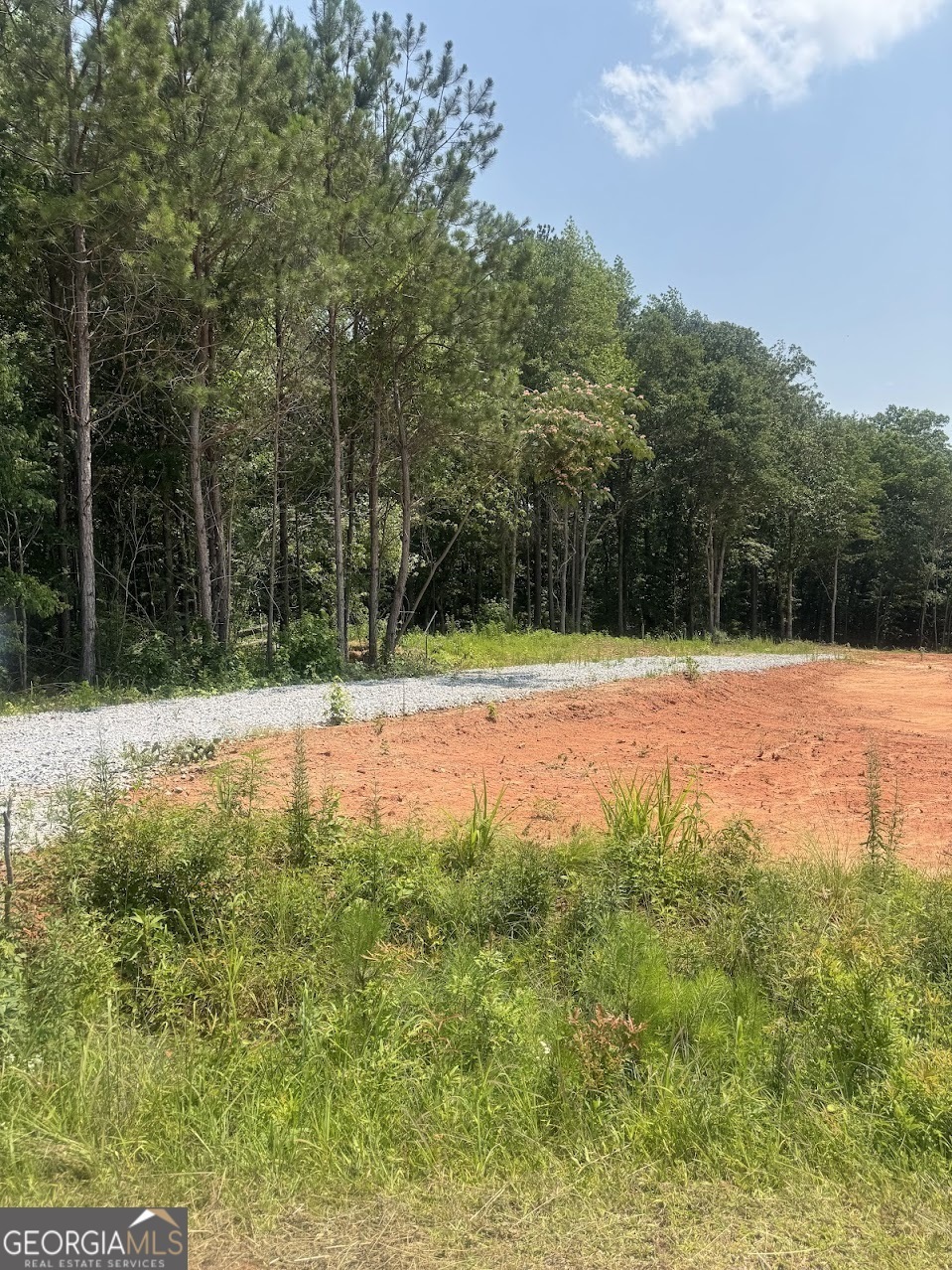 Property Photo: 380 Ayers Road GA 30108
