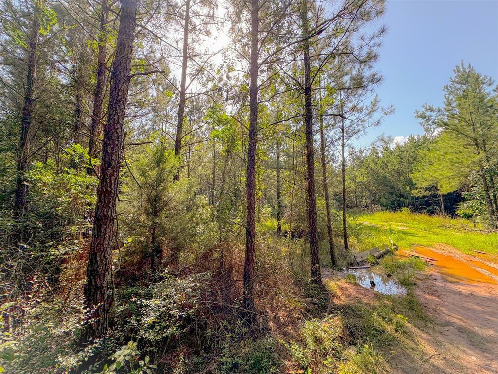 Property Photo: 0 County Road 2650 TX 77327
