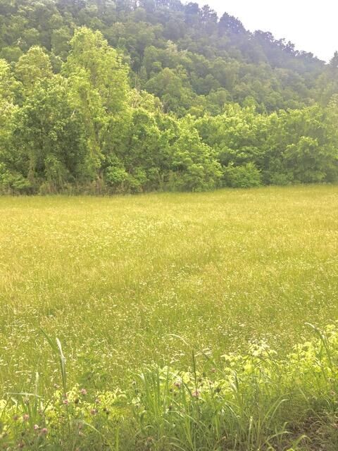 Property Photo:  Tbd Hatfield Road  TN 37879 