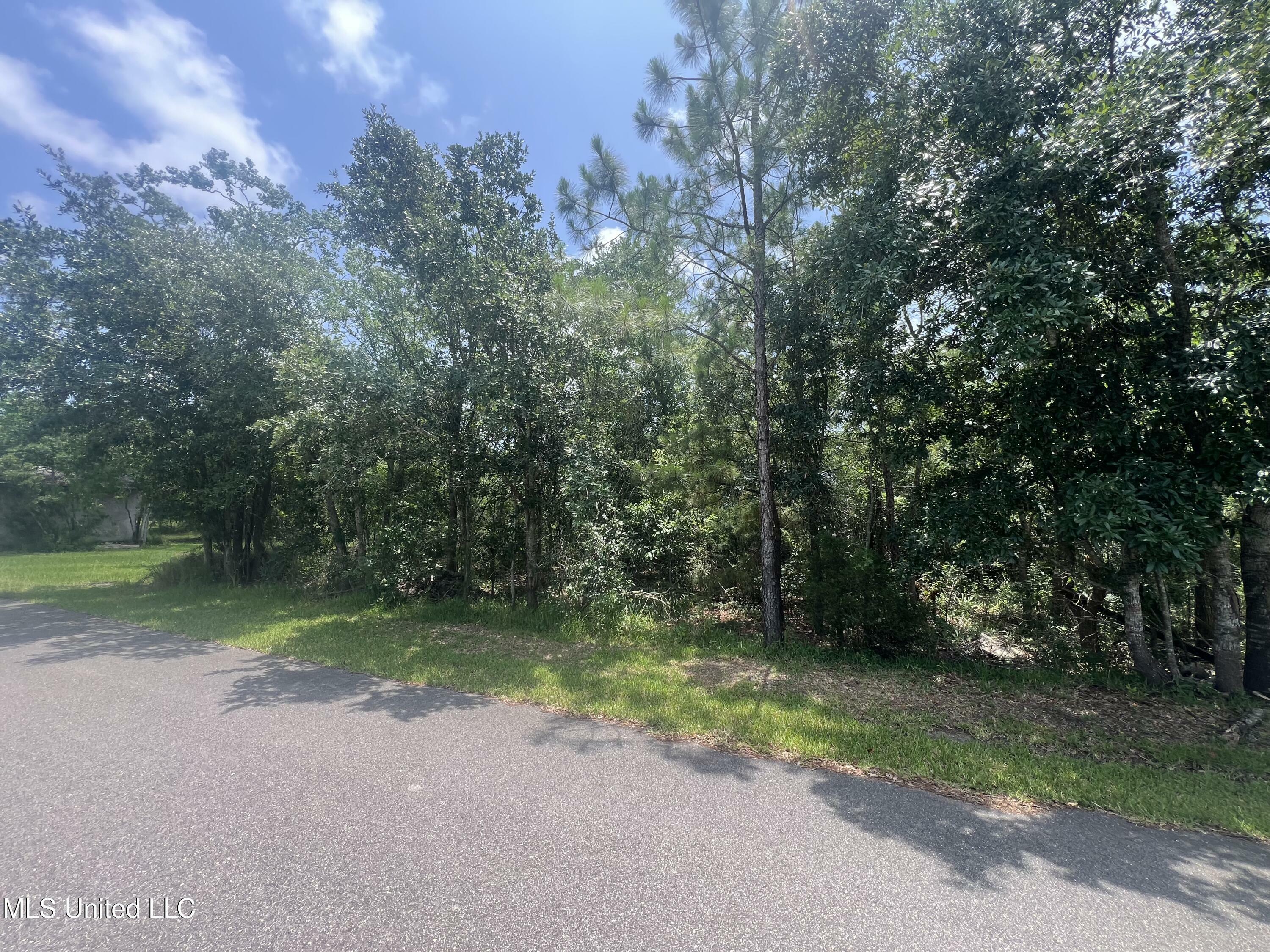 Property Photo: Nsn Indiana Street MS 39520