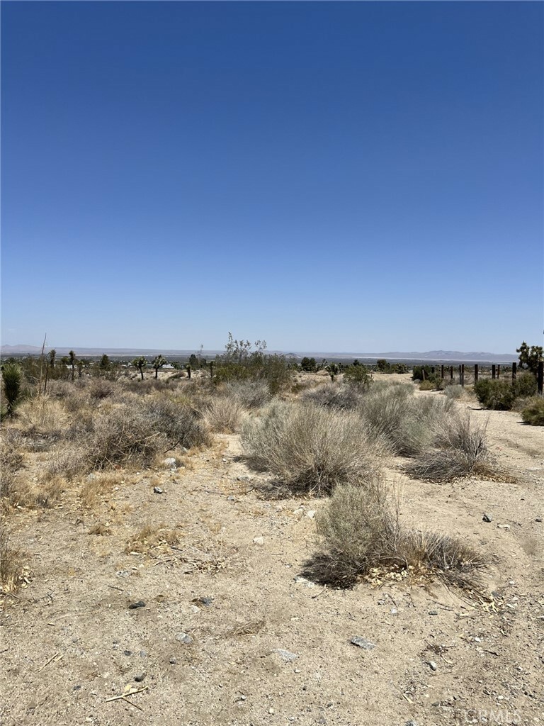 Property Photo: 0 Pine Tree Road CA 92372