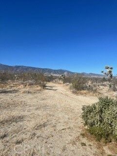 Property Photo:  0 Pine Tree Road  CA 92372 