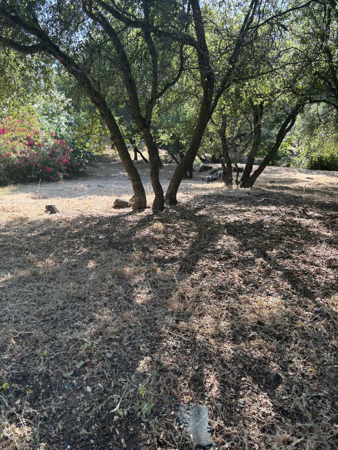 Property Photo: 12964 Roadrunner Dr CA 95946