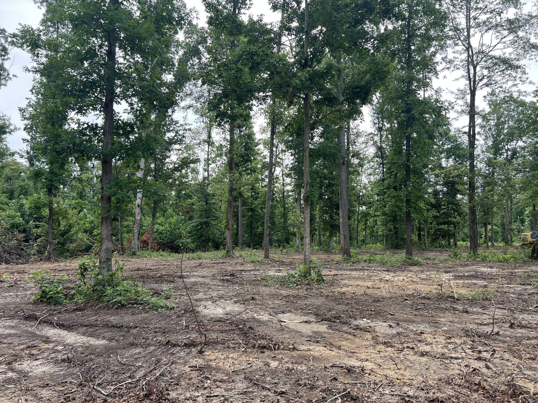 Property Photo:  27 Annie Hollow Rd  TN 37186 