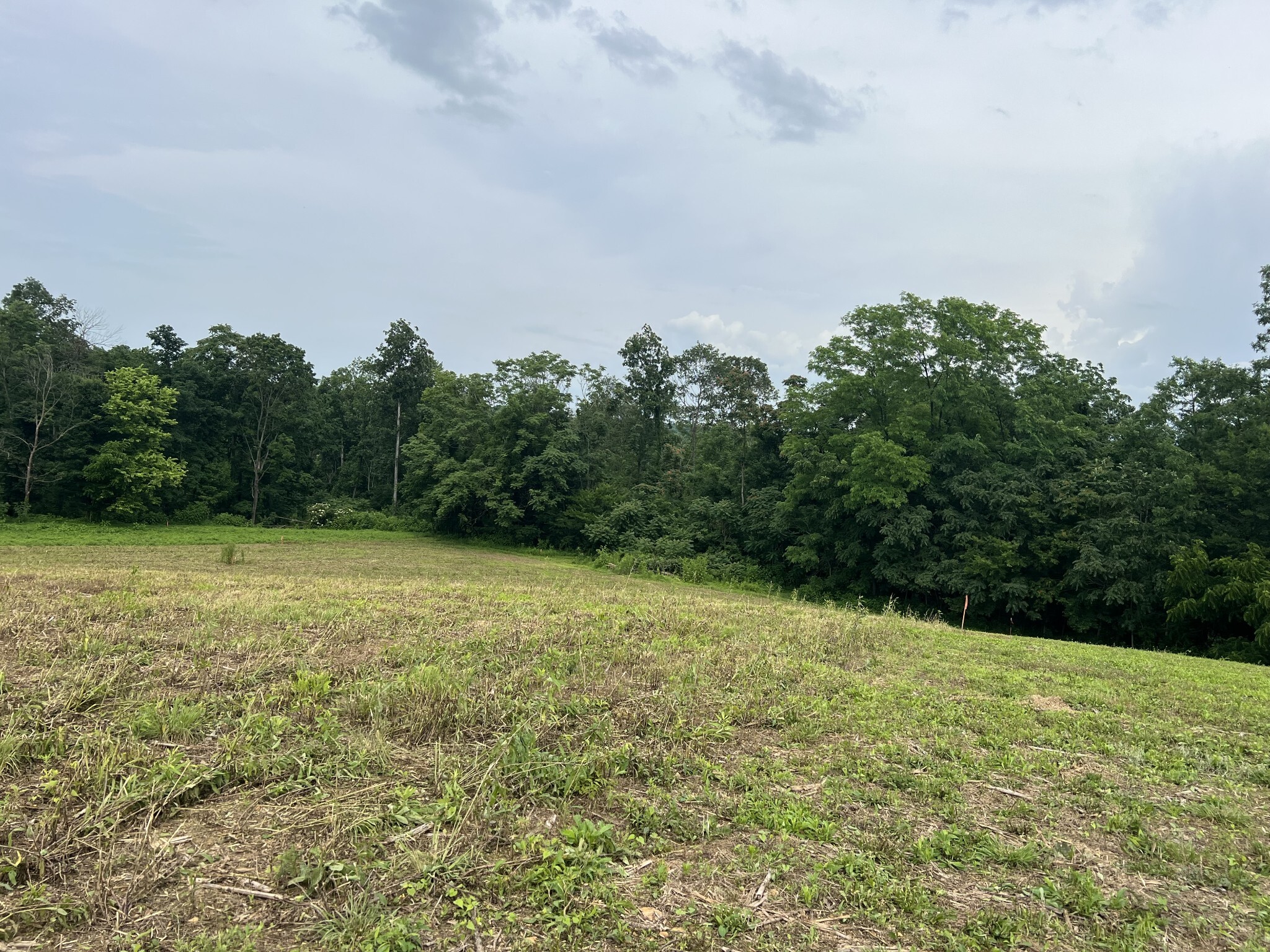 Property Photo:  5 Annie Hollow Rd  TN 37186 