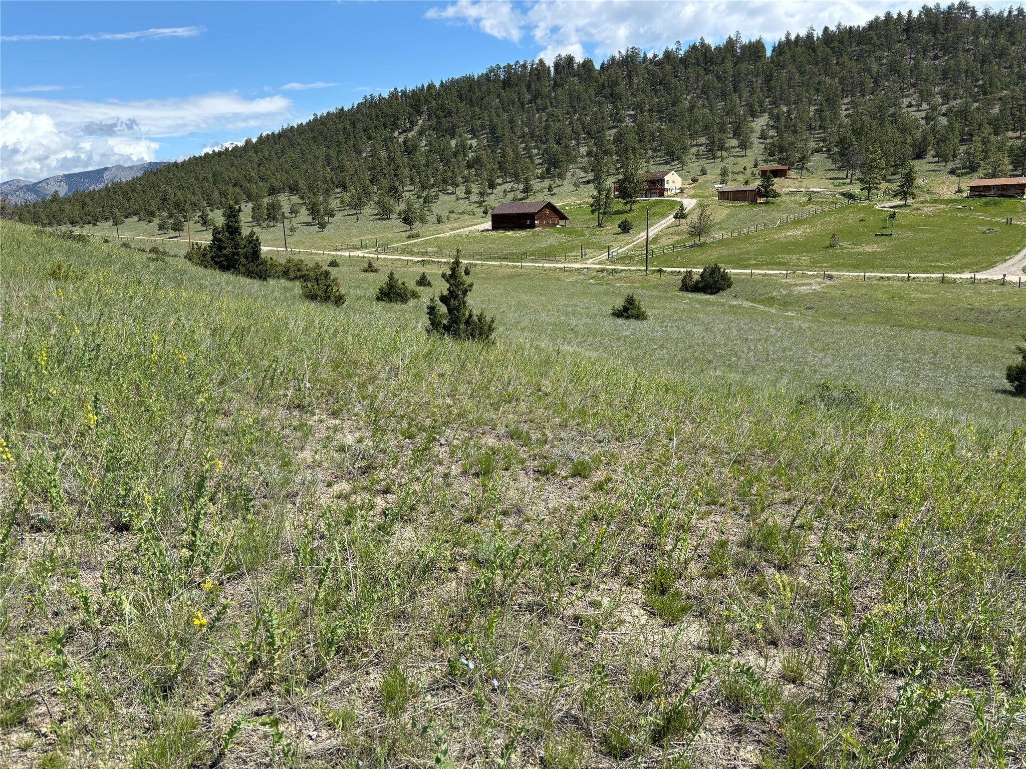 Property Photo:  6390 Emmett Road  MT 59601 