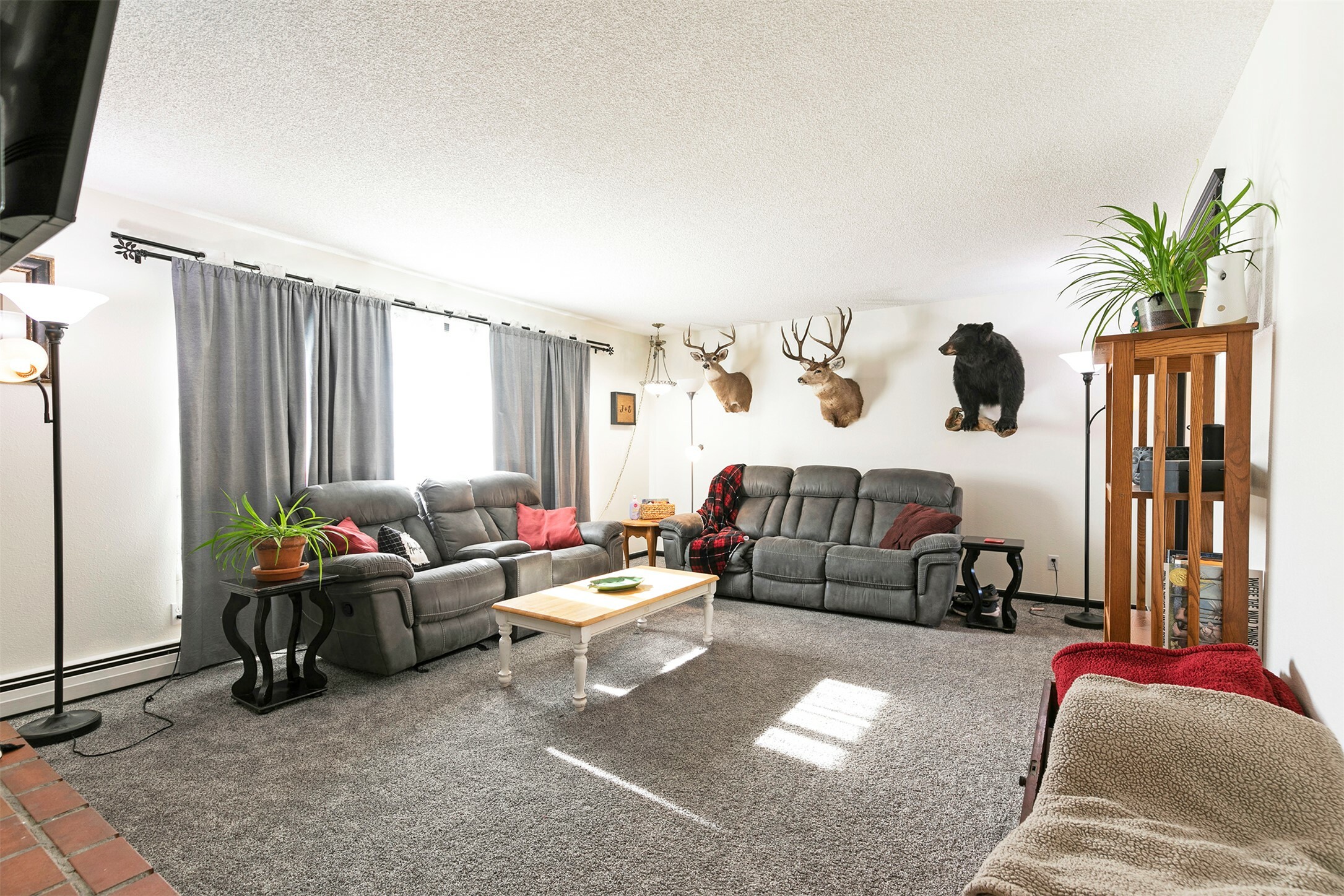 Property Photo: 239 Essex Street MT 59847