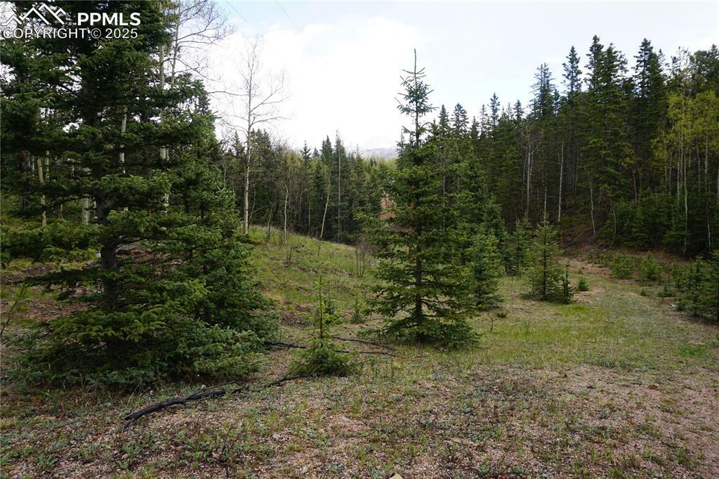 Property Photo: Vacant Land CO 80813