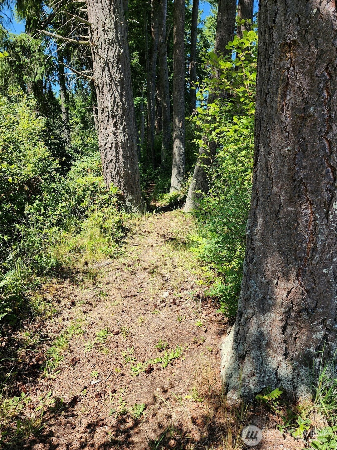 Property Photo: 4076 S East Camano Dr. WA 98282