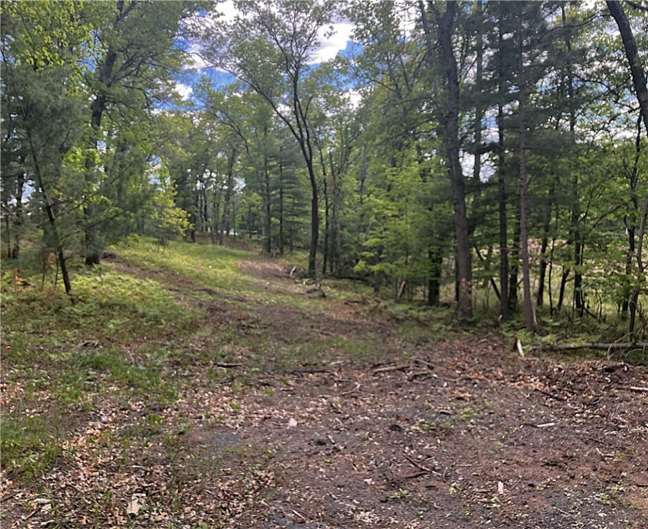 Property Photo:  Lot 21 Mallard Lake Road  WI 54893 