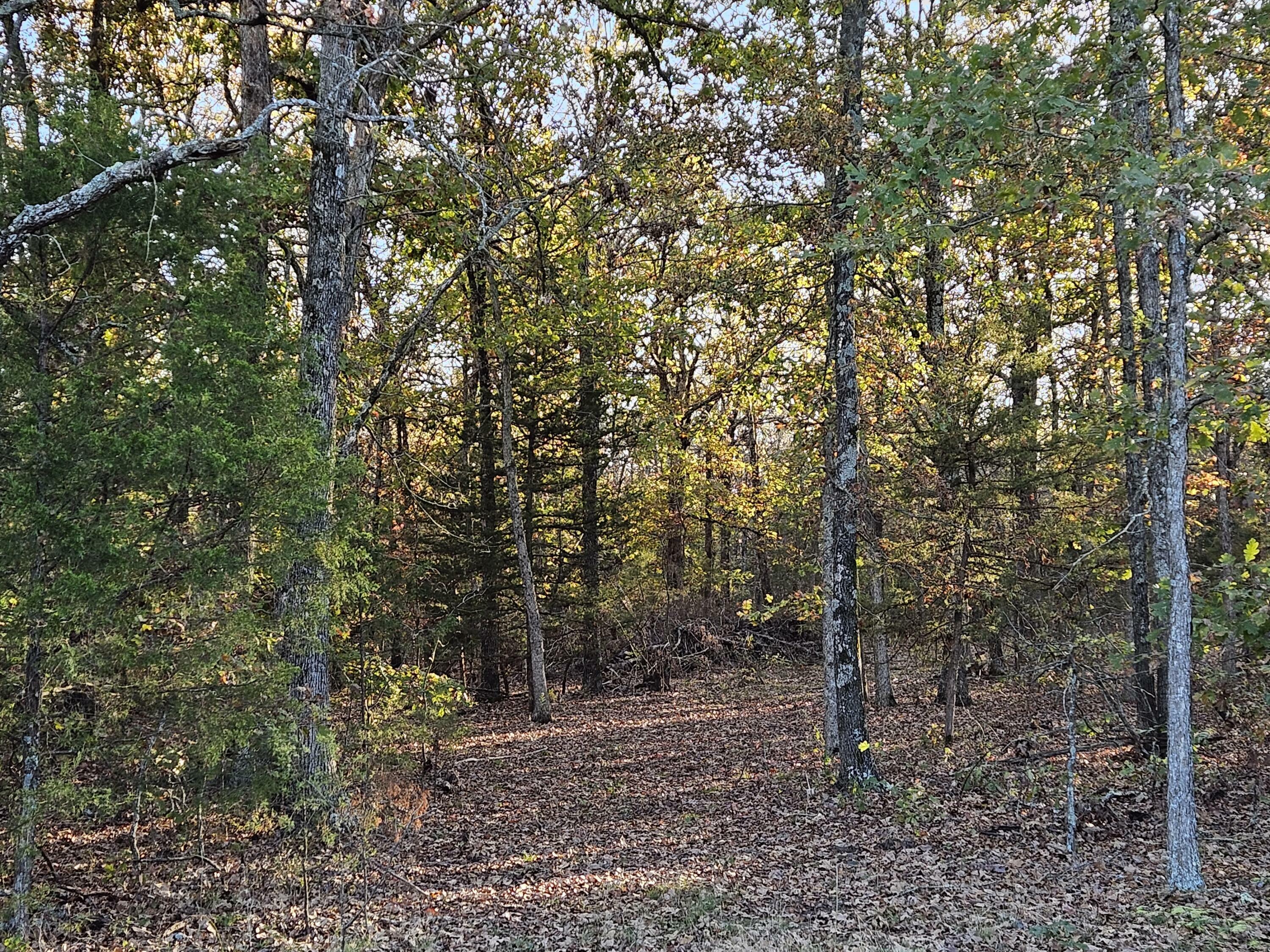 Property Photo:  Tract 2 State Highway 174  MO 65705 