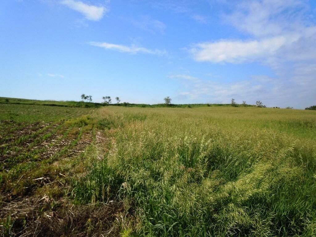 Property Photo: 0000 300th Street IA 51555