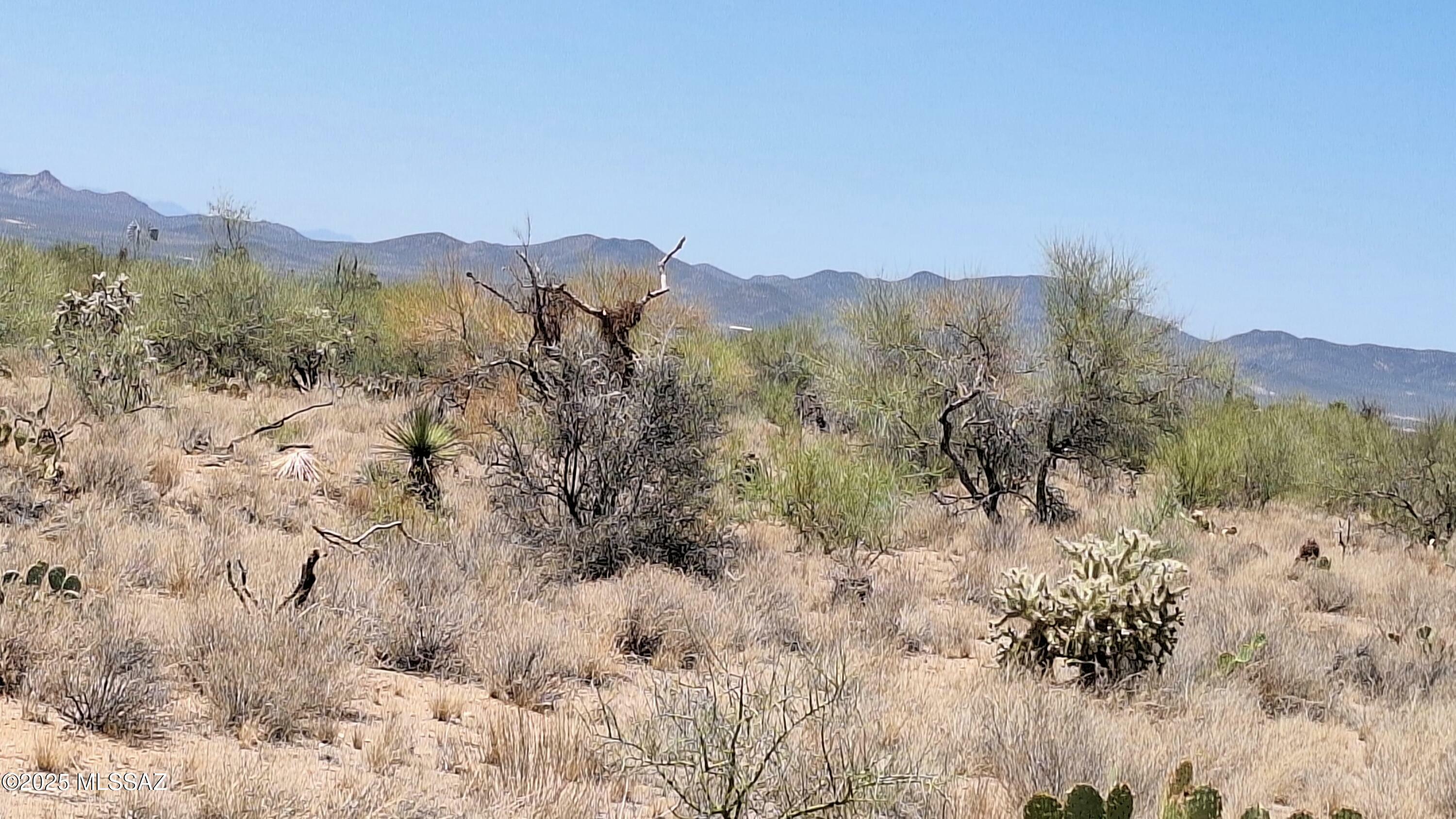 Property Photo: 14454 S Ezra Place 360 AZ 85736
