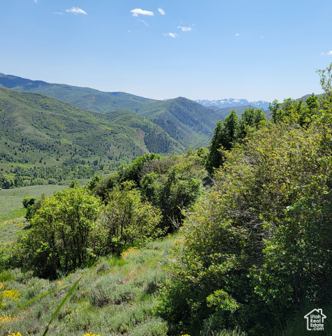 Property Photo: 12737 E High Pine Cir N 54 UT 84317