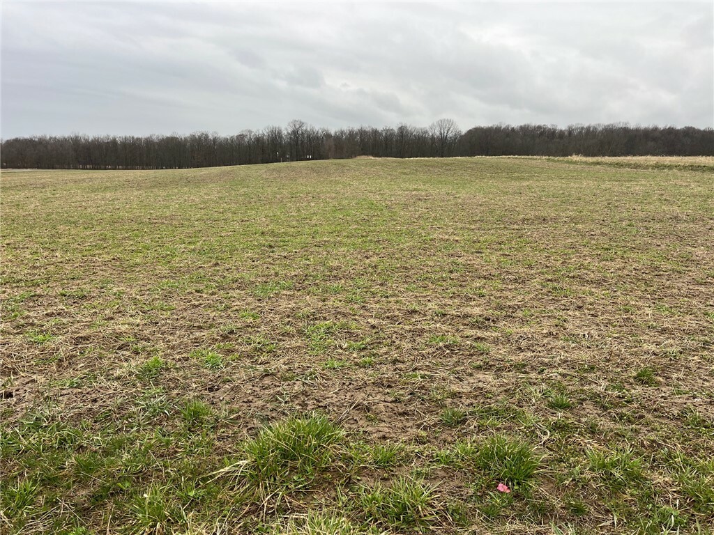 Property Photo: 4040 County Road 141 Road NY 14847
