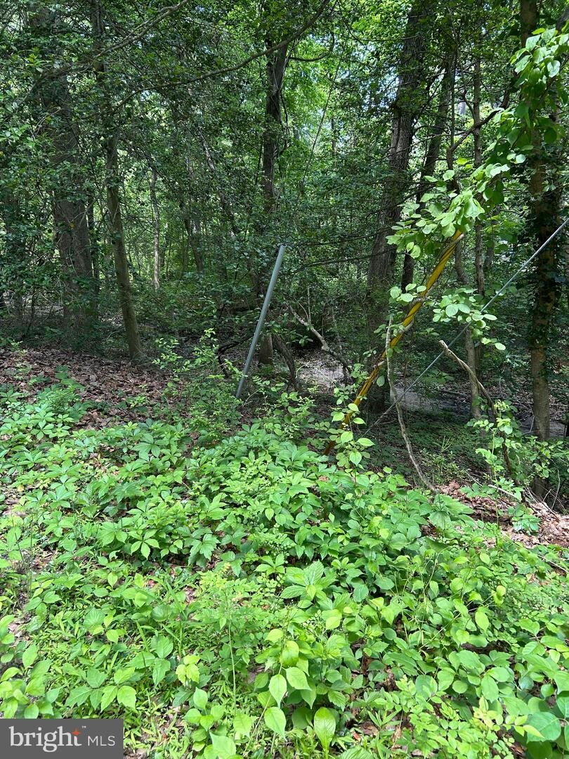 Property Photo:  Elm Trail  MD 21032 