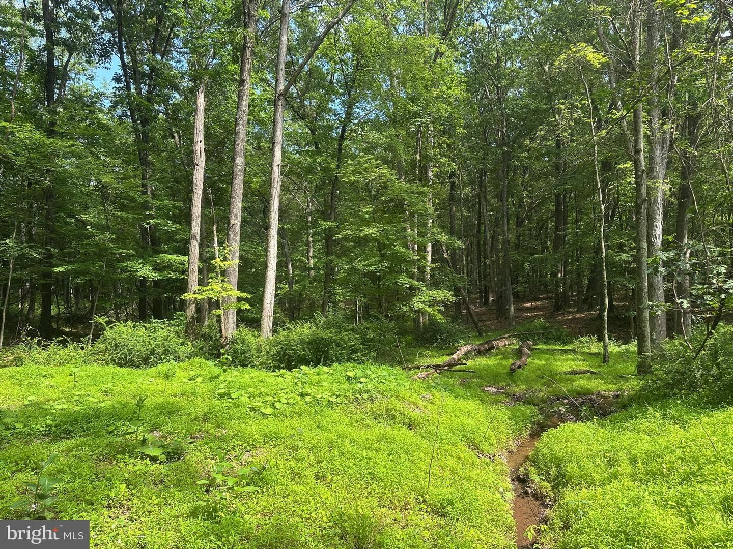 Property Photo:  5.73 Ac Anthony Bohrer Road  WV 25444 