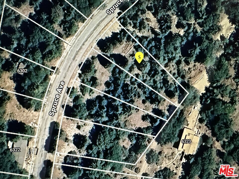 6287 Spruce Ave  Angelus Oaks CA 92305 photo