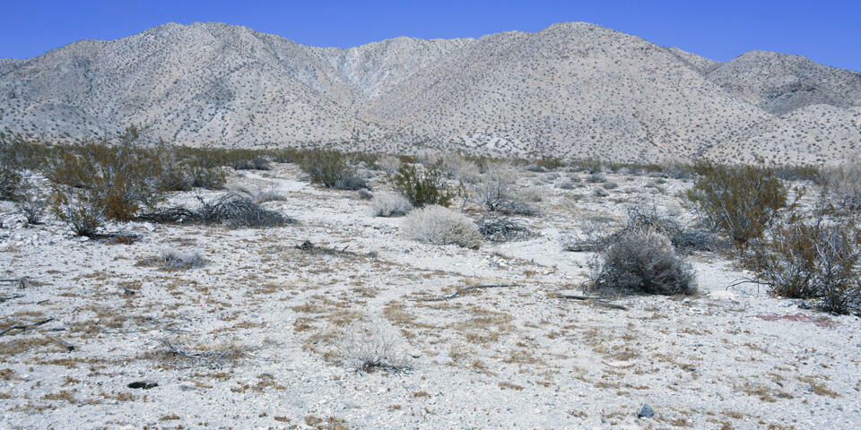 Property Photo: 1 Camino Zangiri CA 92241