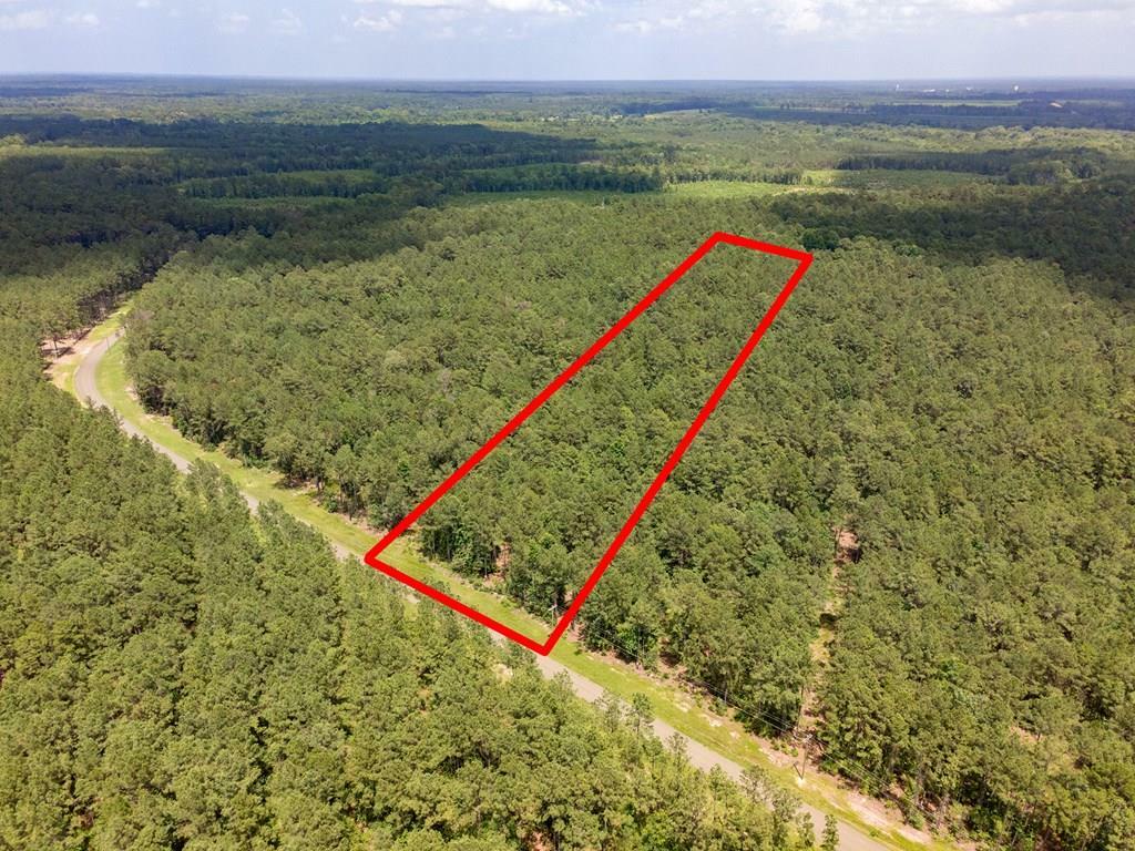 Lot 30 Eagles Nest  Broaddus TX 75929 photo